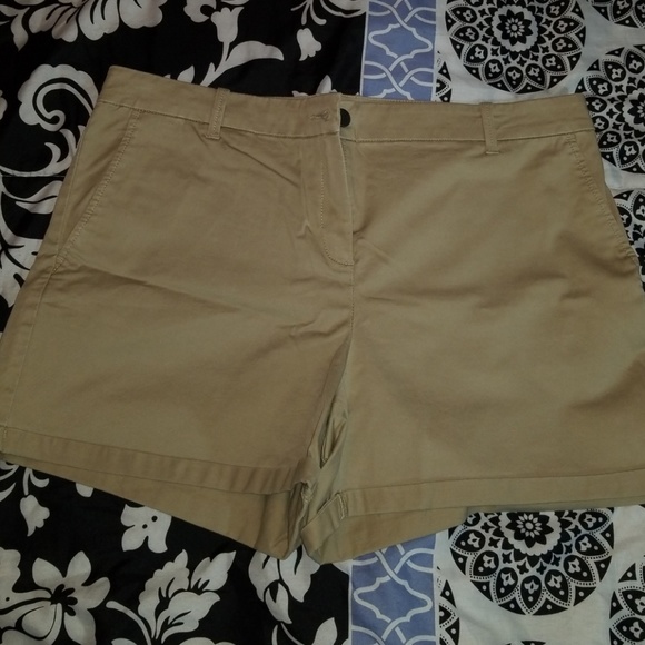 New York & Company Khaki Shorts - Picture 2 of 7